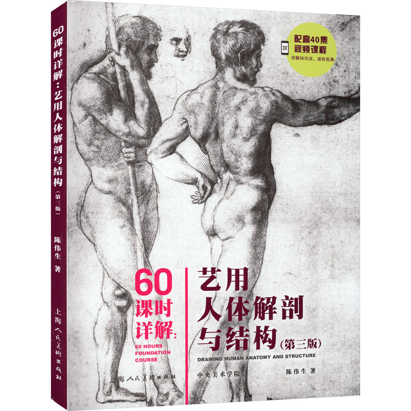 60课时详解：艺用人体解剖与构造