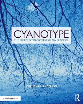 Cyanotype : the blueprint in contemporary practice