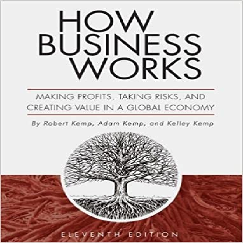 How business works : making profits, taking risks, and creating value in a global economy