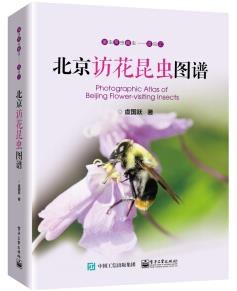 北京访花昆虫图谱