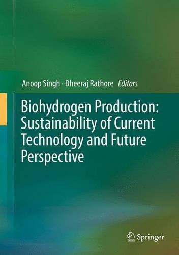  "Exploring the Future of PET in Polymer Applications: Innovations and Sustainability"