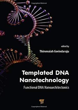 Templated DNA nanotechnology : functional DNA nanoarchitectonics