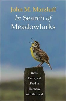 In search of meadowlarks : birds, farms, and food in harmony with the land