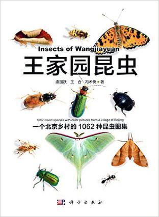 王家园昆虫：一个北京乡村的1062种昆虫图集
