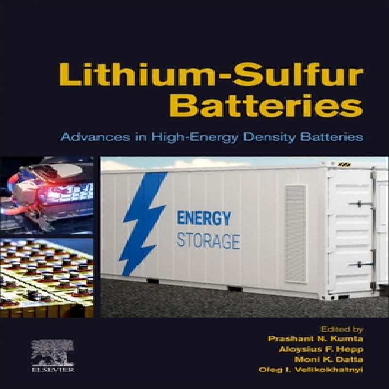 Lithium-sulfur batteries : advances in high-energy density batteries