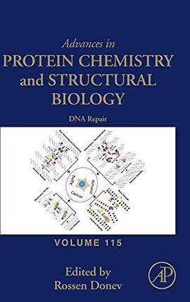 Advances in protein chemistry and structural biology. Volume 115, DNA repair