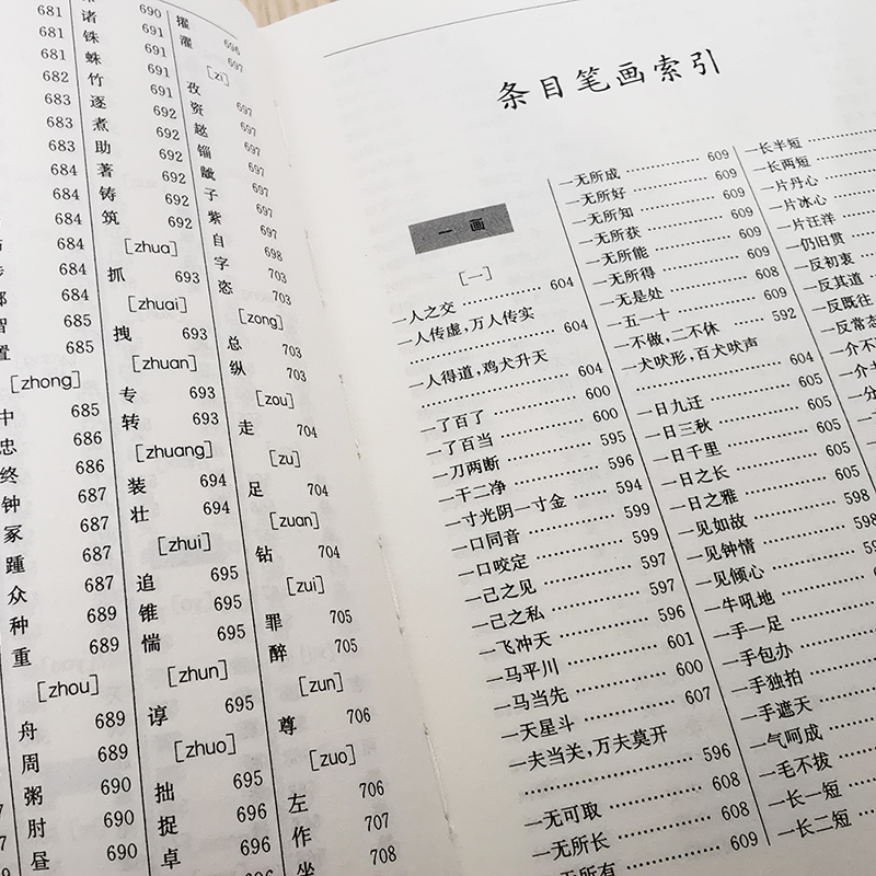 汉语成语词典：全新版