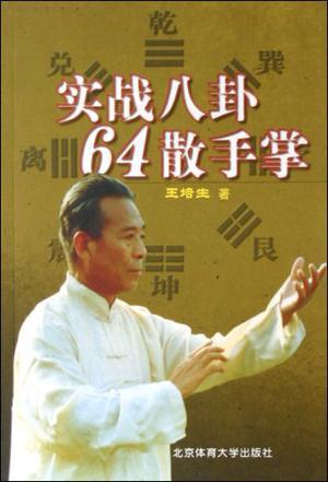 实战八卦64散手掌