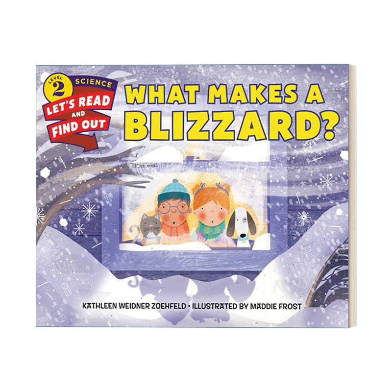 What makes a blizzard?
