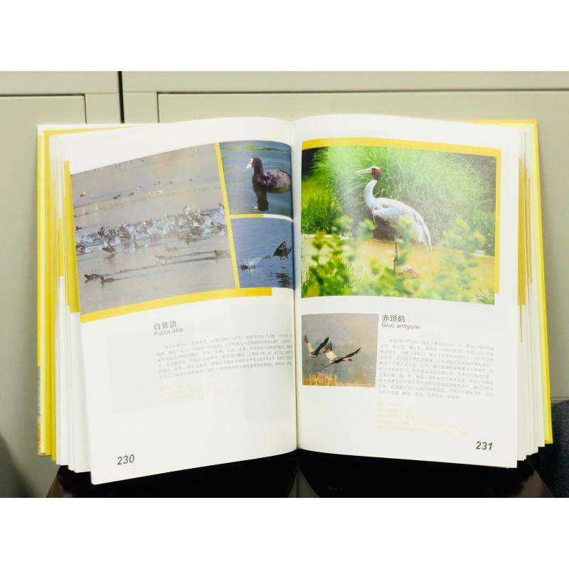 鸟类卷(上)/中国西南野生动物图谱  生物科学