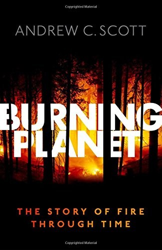 Burning planet : the story of fire through time