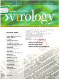 Journal in computer virology
