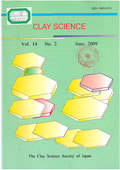 Clay science