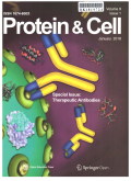 蛋白质与细胞