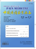 中國疼痛醫學雜志