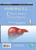 中国肝脏病杂志（电子版）