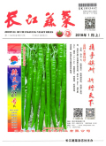 长江蔬菜