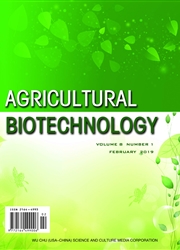 农业生物技术：英文版
