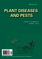 植物病虫害研究：英文版