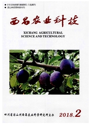 西昌农业科技