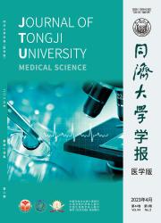 同济大学学报：医学版