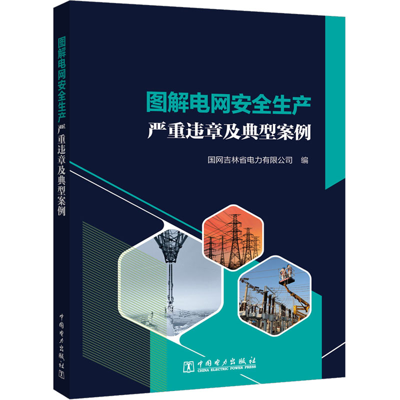 图解电网安全生产严重违章及典型案例