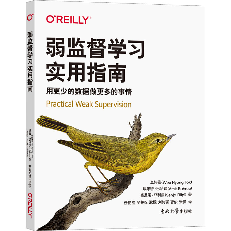 弱监督学习实用指南
