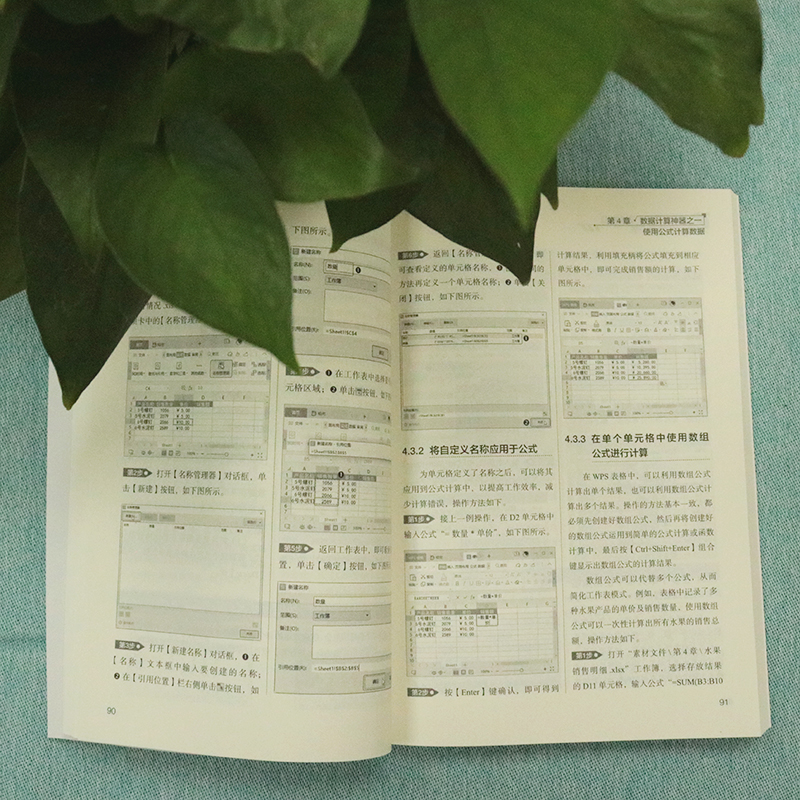 WPS Office高效办公. 数据处理与分析