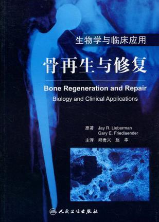 骨再生与修复：生物学与临床应用