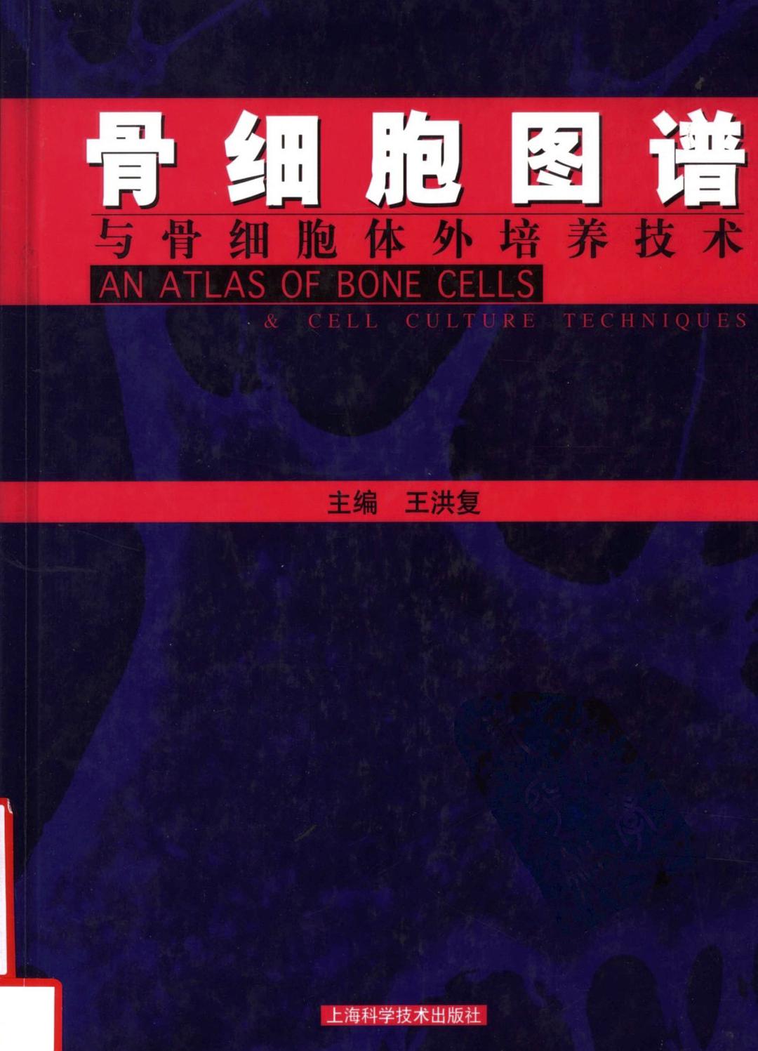骨细胞图谱与骨细胞体外培养技术