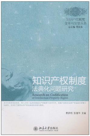 知识产权制度法典化问题研究