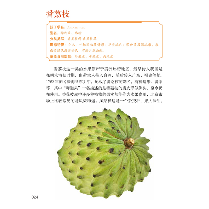 水果和干果