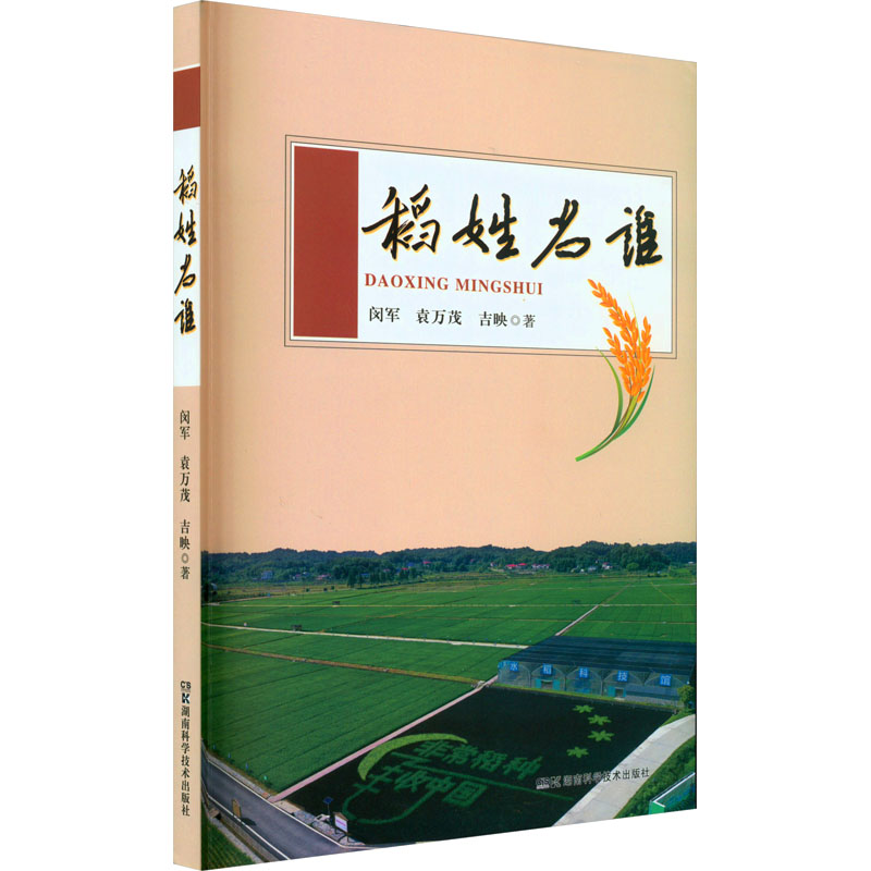 稻姓名谁