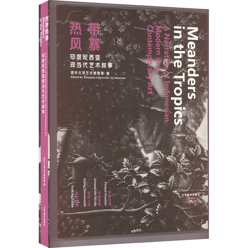 热带风暴：印度尼西亚现当代艺术叙事
