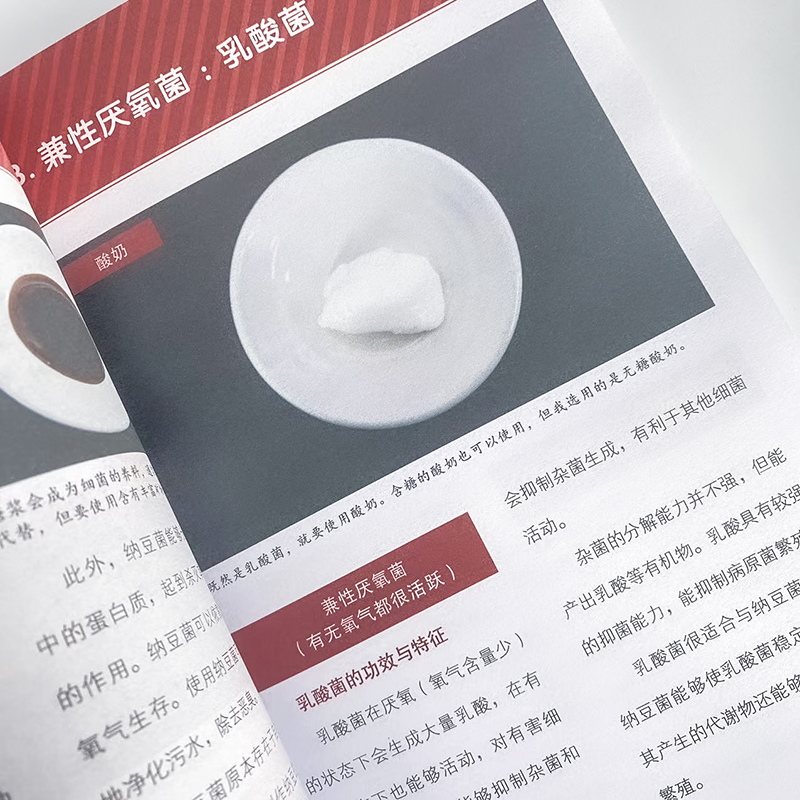 打造理想水族箱 无须换水的鱼缸养护指南 生活休闲