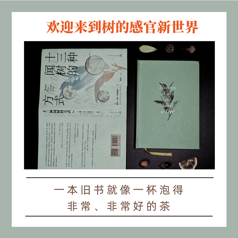 十三种闻树的方式 生物科学