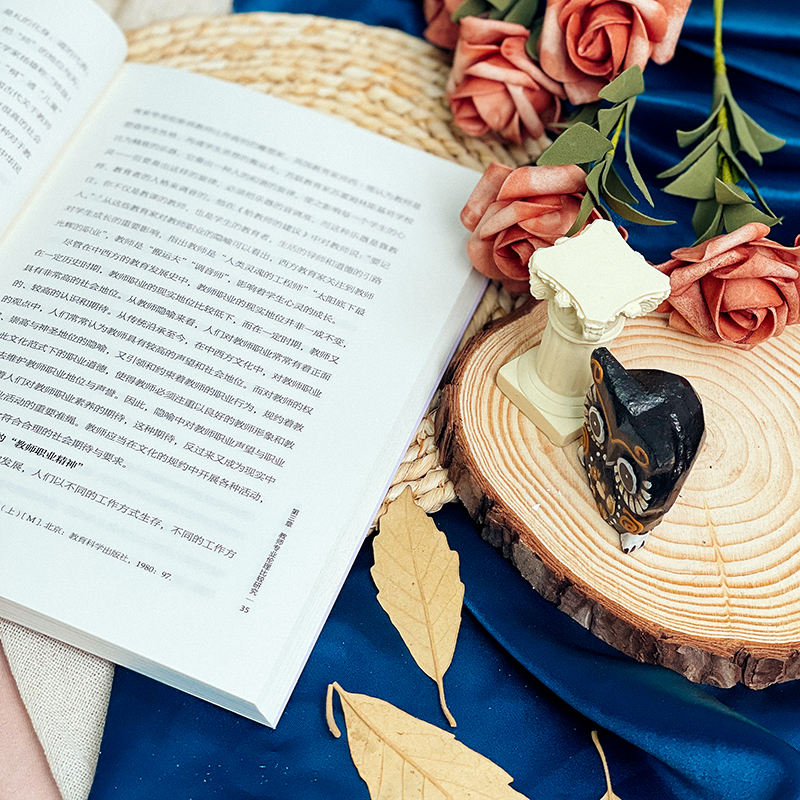 与青春相伴 中学教师伦理研究 教学方法及理论