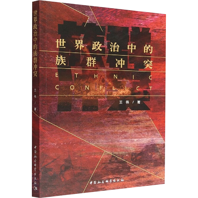 世界政治中的族群冲突 政治理论