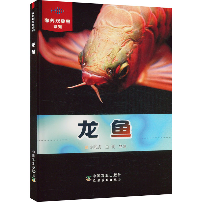 龙鱼 生活休闲
