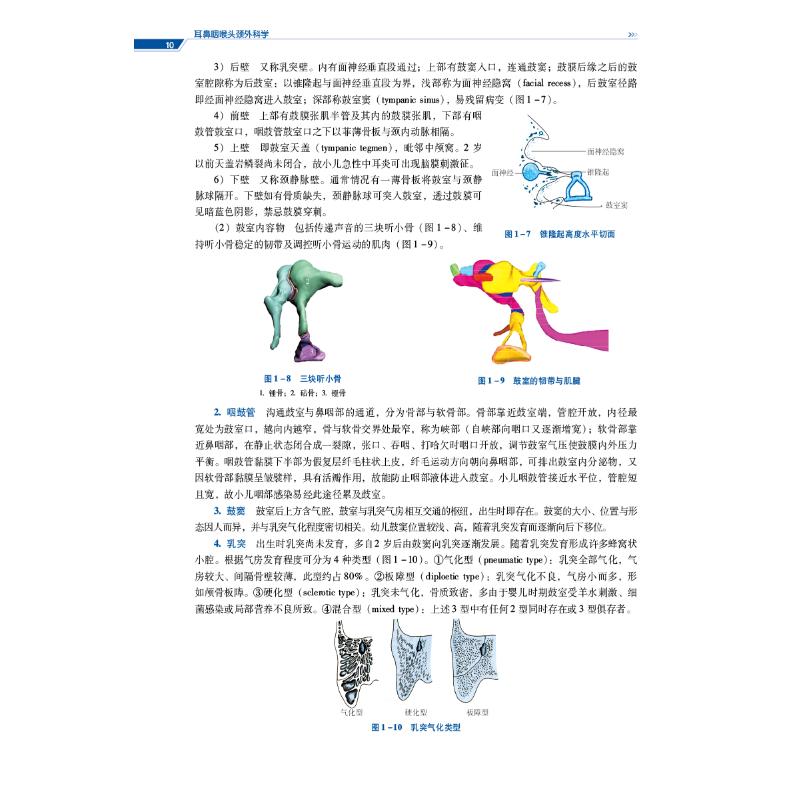 耳鼻咽喉头颈外科学 第2版 大中专理科医药卫生
