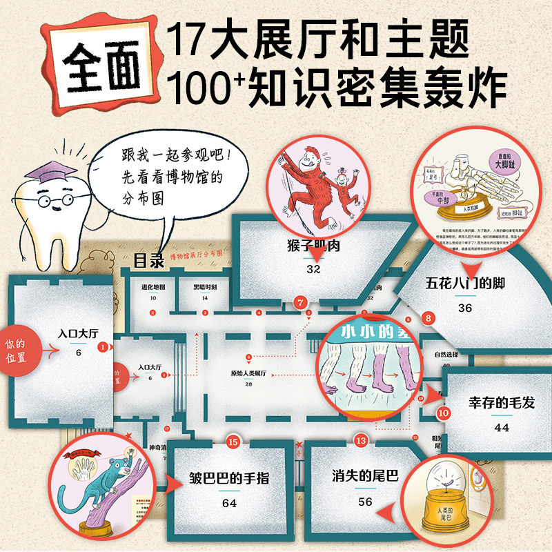 人类进化博物馆 少儿科普