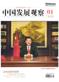 中国发展观察
