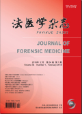 法医学杂志