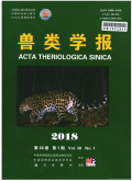 兽类学报