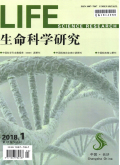 生命科学研究