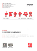 中国青年研究