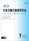 牙体牙髓牙周病学杂志