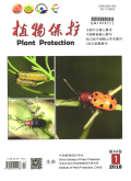 植物保护