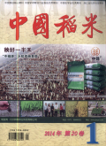 中国稻米