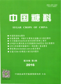 中国糖料